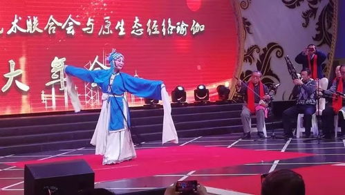 呼市民間文藝團(tuán)隊(duì)才藝展示迎新年 文化藝術(shù)交流活動(dòng)